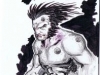 wolverine_kenbaumgartner